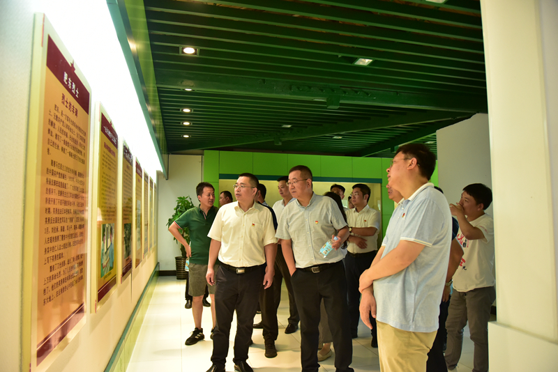 市政分公司黨總支、合肥市重點(diǎn)局直屬黨委第二黨支部聯(lián)合開展主題黨日活動(dòng)3
